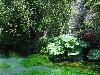 DSC00329.JPG