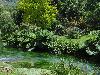 DSC00331.JPG