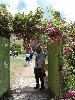 DSC00335.JPG
