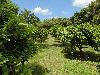 DSC00340.JPG