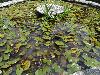 DSC00341.JPG