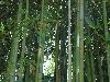 DSC00343.JPG