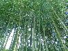 DSC00344.JPG