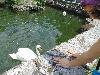 DSC00348.JPG