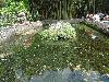 DSC00350.JPG