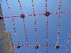 DSC00354.JPG