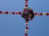 DSC00355.JPG