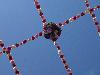 DSC00356.JPG