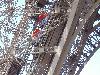 DSC00383.JPG