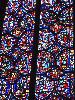 DSC00533.JPG