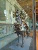 DSC00951.JPG