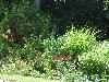 DSC01006.JPG