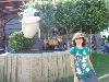 DSC01040.JPG
