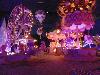 DSC01088.JPG