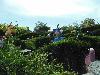 DSC01113.JPG