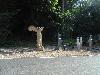DSC01146.JPG