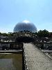 IMG 20140608 125108.jpg