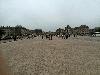IMG 20140610 090556.jpg