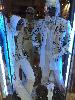 IMG 20140614 164200.jpg