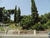 DSC01205.JPG