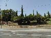 DSC01207.JPG