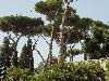 DSC01208.JPG