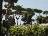 DSC01209.JPG
