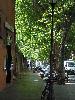 DSC01214.JPG