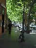 DSC01215.JPG
