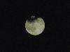 DSC01244.JPG