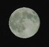 DSC01246.JPG