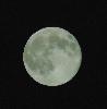 DSC01247.JPG