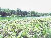 DSC01257.JPG