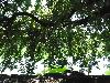 DSC01260.JPG