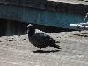 DSC01263.JPG
