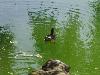 DSC01265.JPG