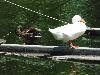 DSC01271.JPG