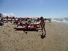 DSC01305.JPG