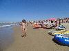 DSC01313.JPG