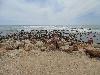 DSC01320.JPG