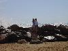 DSC01330.JPG