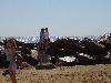 DSC01331.JPG