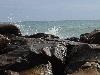 DSC01332.JPG