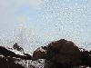 DSC01334.JPG