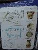 DSC01353a.JPG