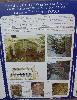 DSC01354.JPG