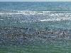DSC01371.JPG