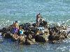 DSC01380.JPG