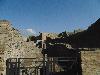 DSC01396.JPG