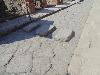 DSC01409.JPG